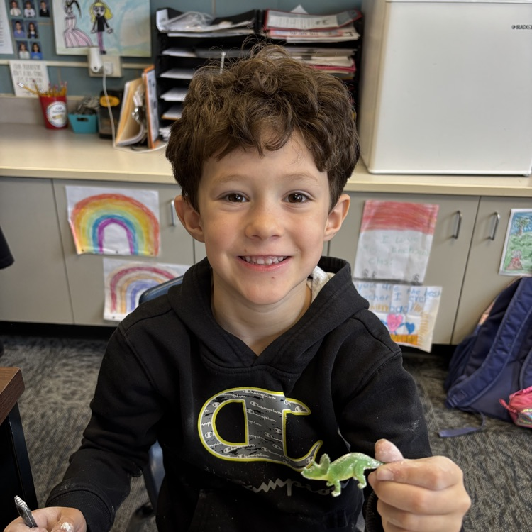 I found a triceratops 