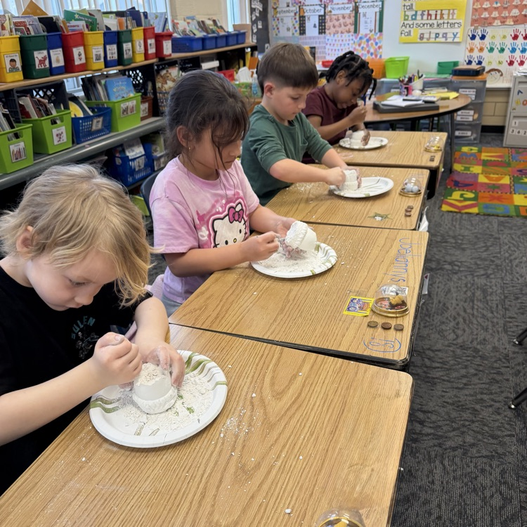 Concentrating on our digs