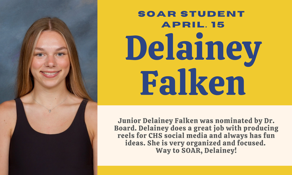 Delainey Falken