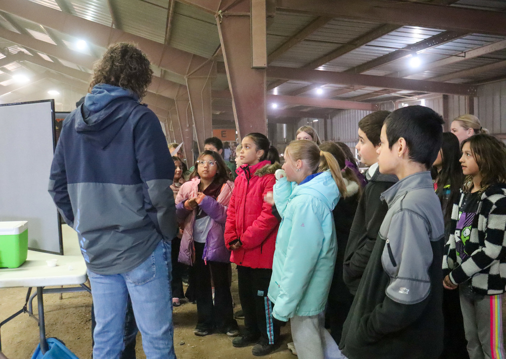 4th graders at the Ag Fair