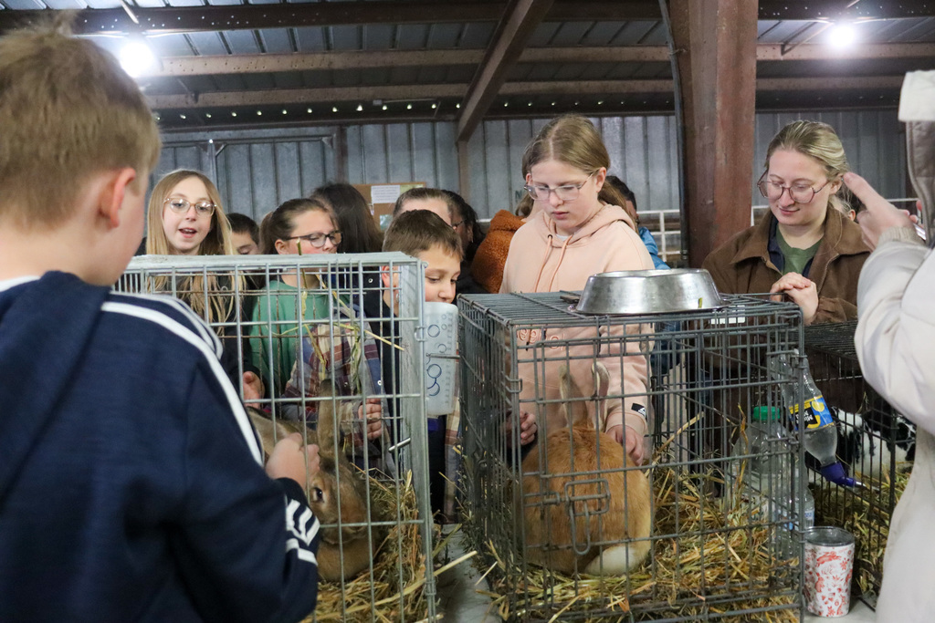 4th graders petting a bunny at the Ag Fair