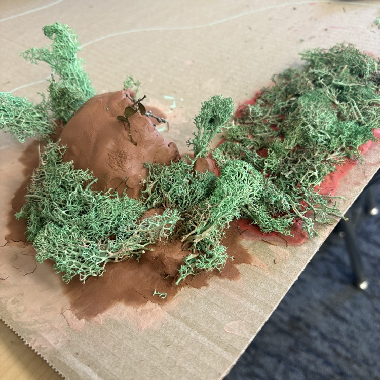 Project Progress