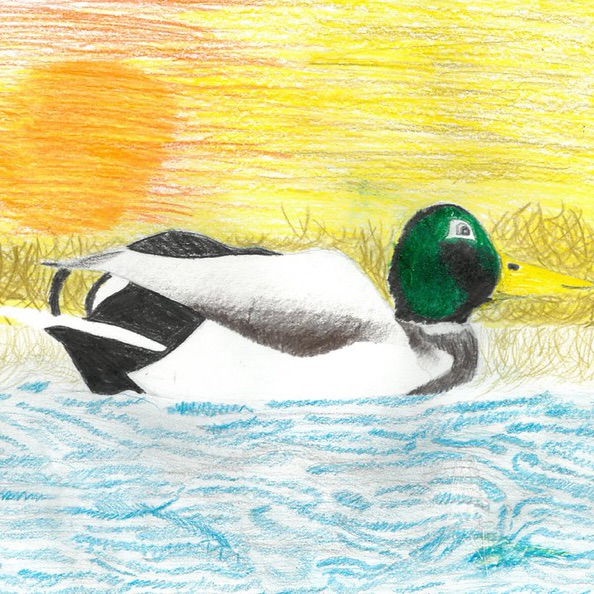 Artwork submitted by OMT students!