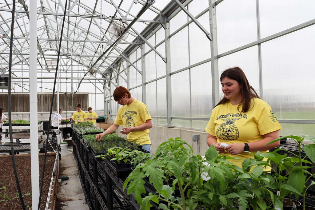 FFA students in the greenhouse