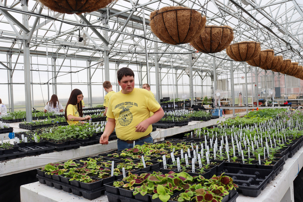 FFA students in the greenhouse