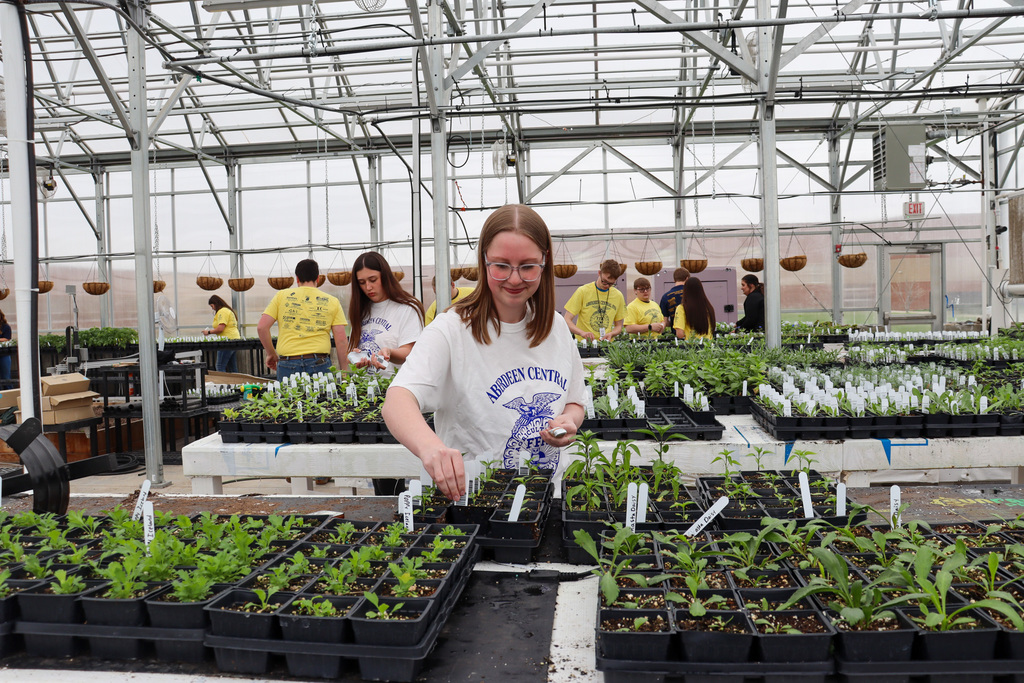 FFA students in the greenhouse