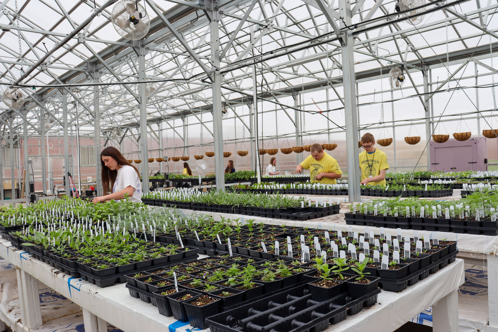 FFA students in the greenhouse