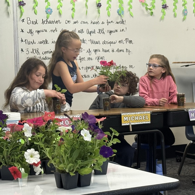 how to plant flowers 