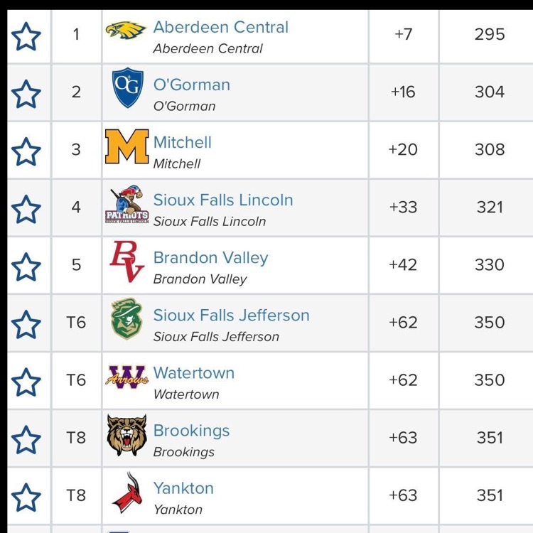 team standings