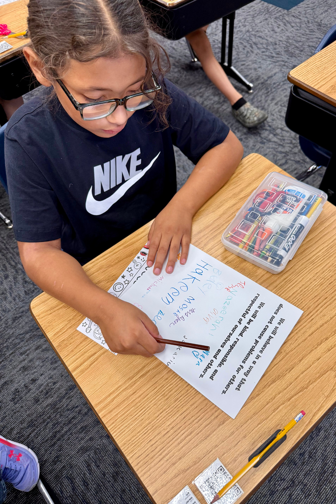 Student Working at Desk
