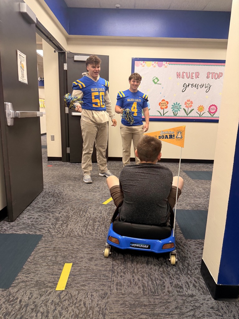 Go Cart