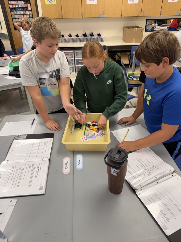 Today, 7th-grade students participated in a lab activity focused on grouping and classifying objects based on their different characteristics. Students practiced observing, identifying similarities and differences, and organizing objects into groups based on shared traits.
