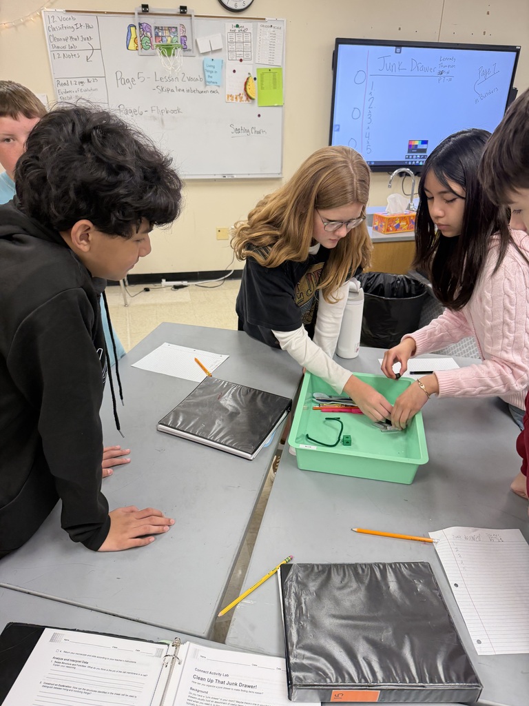 Today, 7th-grade students participated in a lab activity focused on grouping and classifying objects based on their different characteristics. Students practiced observing, identifying similarities and differences, and organizing objects into groups based on shared traits.