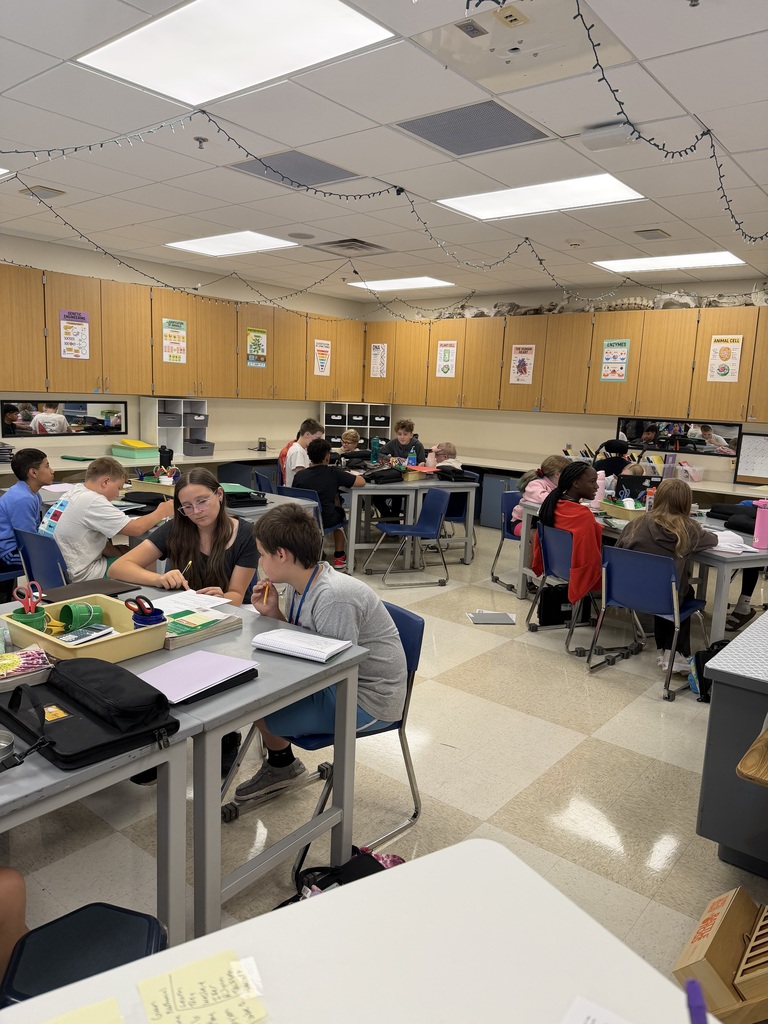 Today, 7th-grade students participated in a lab activity focused on grouping and classifying objects based on their different characteristics. Students practiced observing, identifying similarities and differences, and organizing objects into groups based on shared traits.