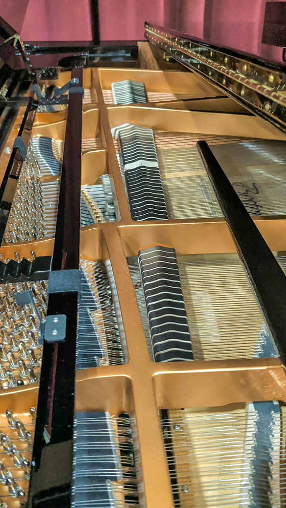 Close-up of the inside of the new piano