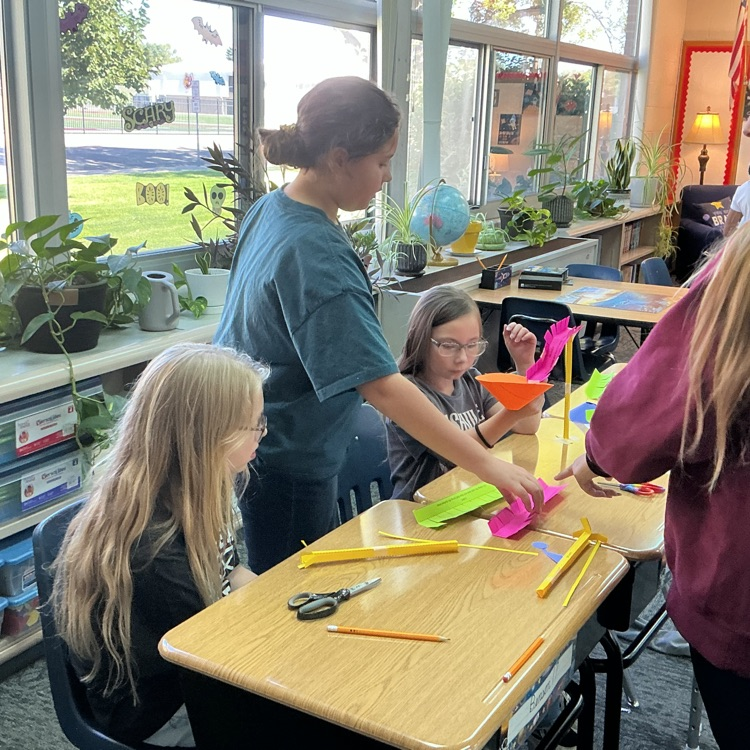 NSU STEM Lesson
