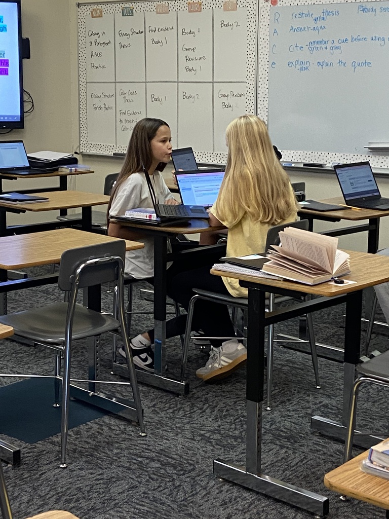 Partner essay structure check