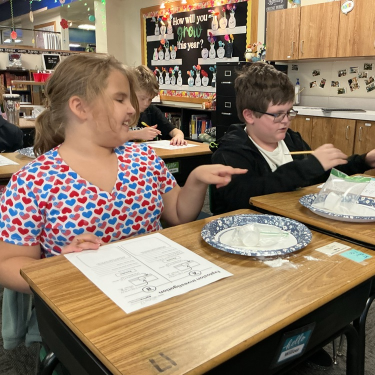 Chemical Reaction