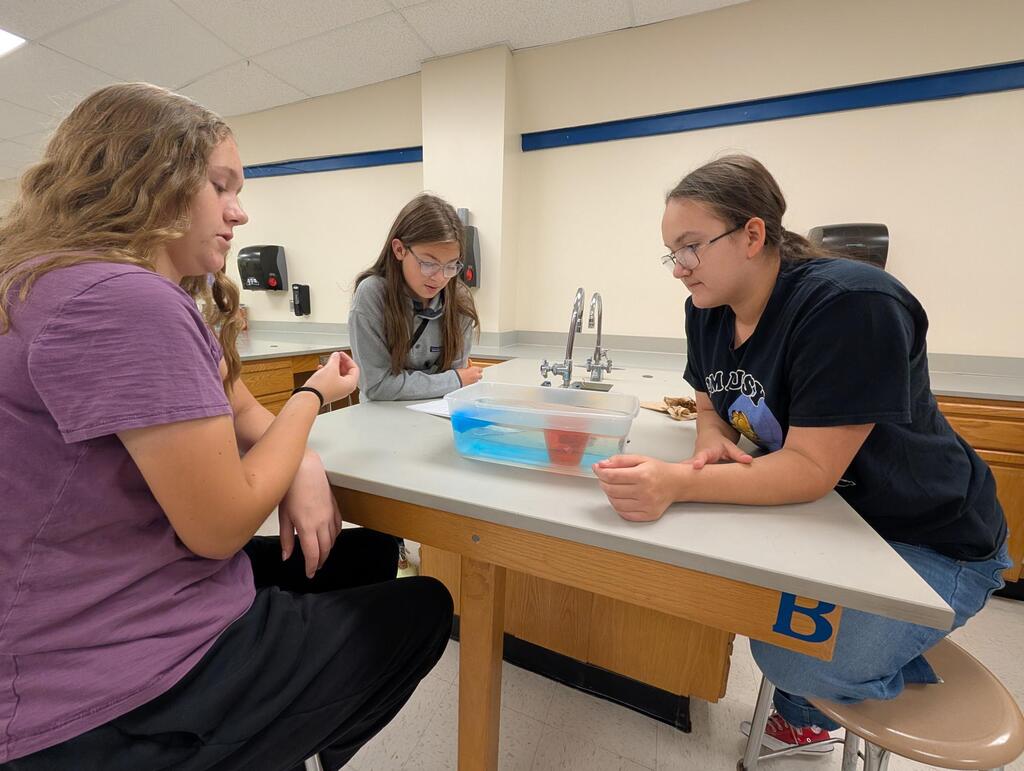 8th grade has been busy learning the basics of thermodynamics in science! Convection currents, cooler design competition, and solar ovens, oh my!