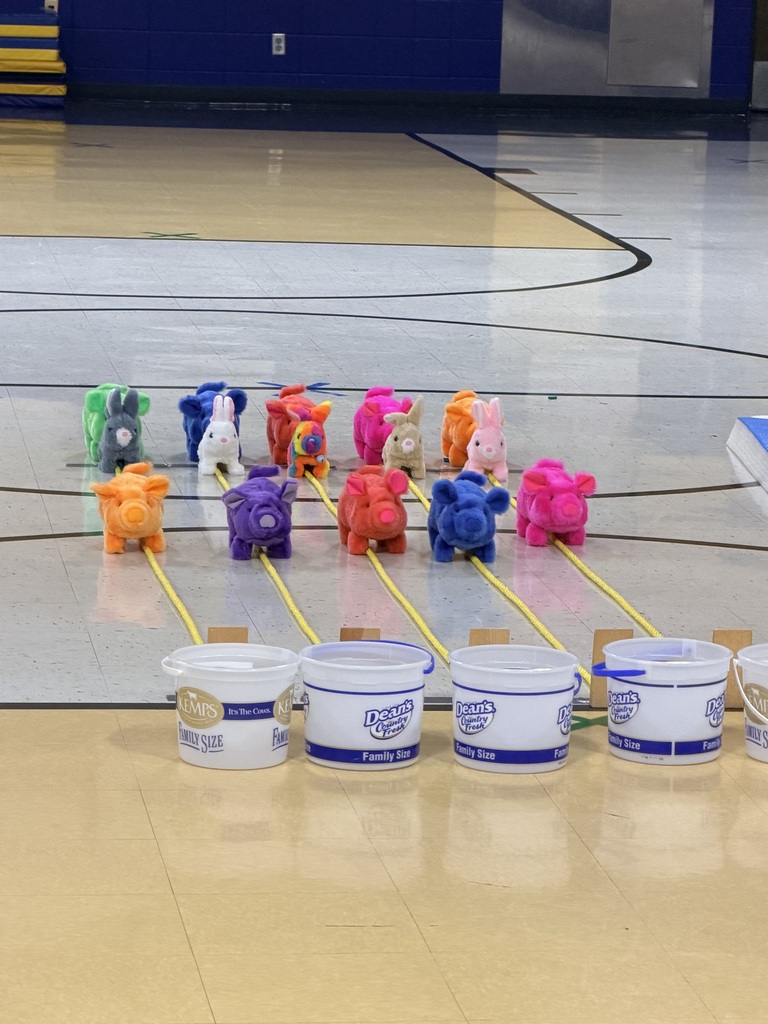 Toy Pig Races