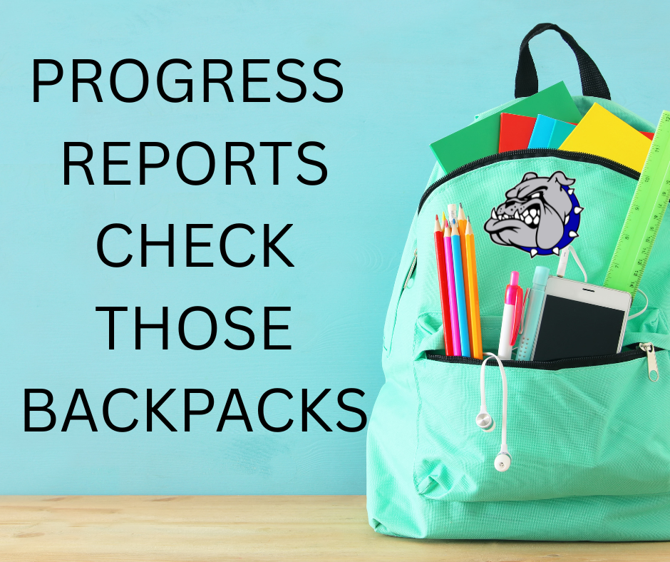 PROGRESS REPORTS 2025