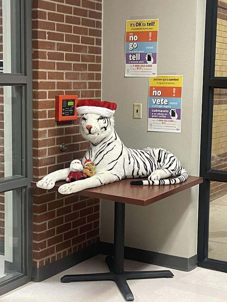A stuffed Tiger with a Santa hat