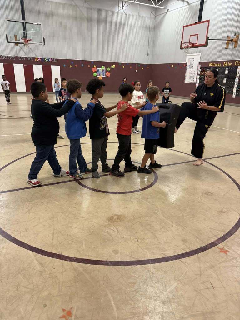 A group of students line up for a karate activity