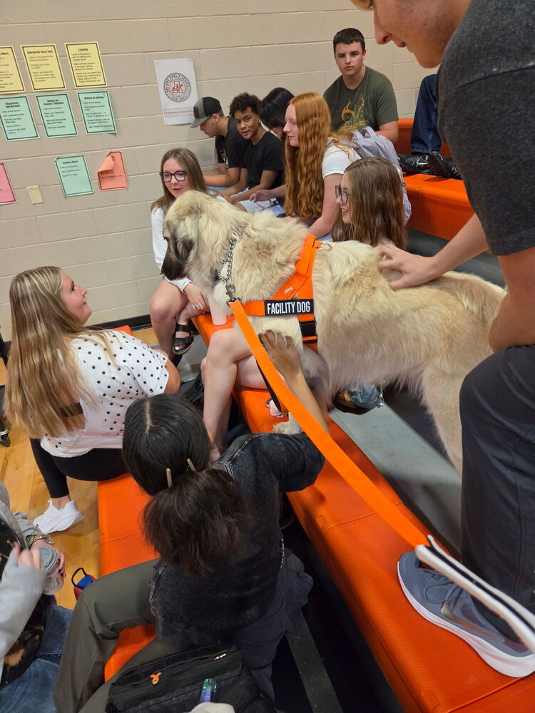 Dog with students