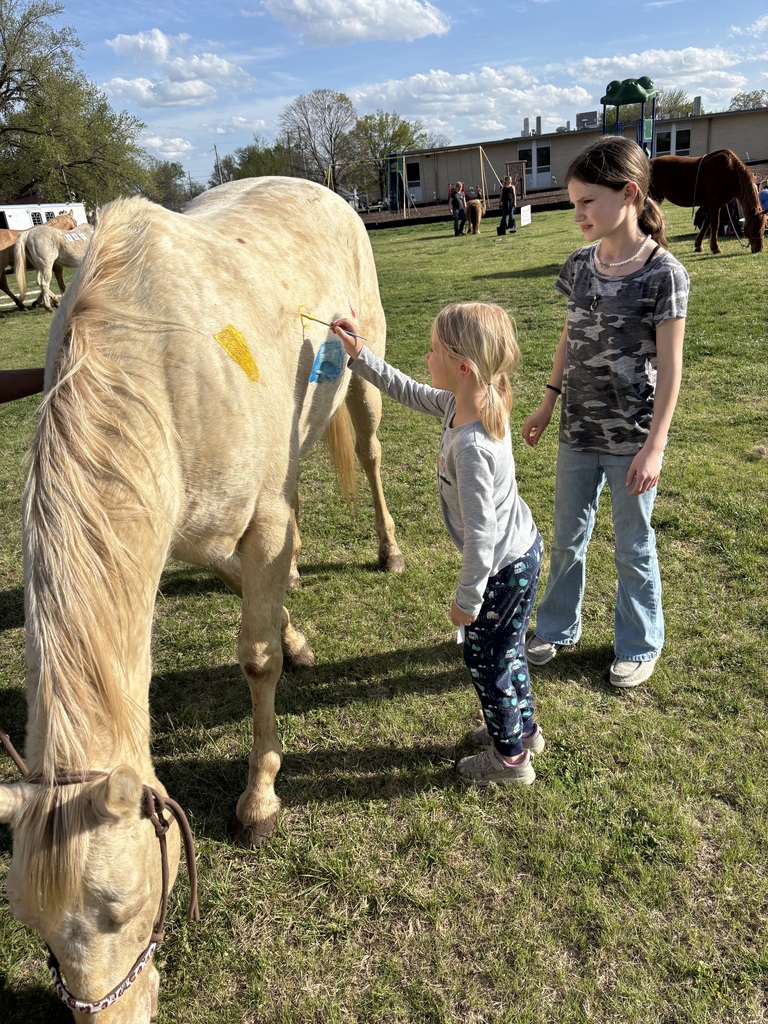 Early Childhood Fair