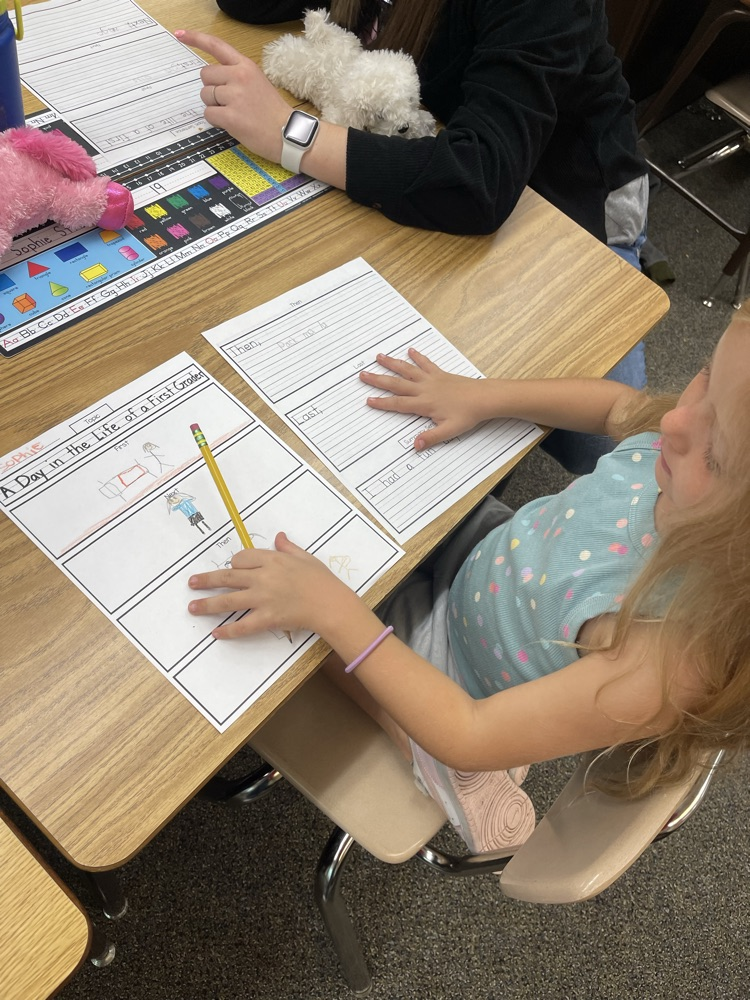 ELA stations