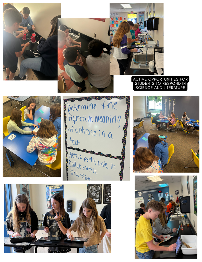 AMS Connect Newsletter - October, 2025 (pg. 3)