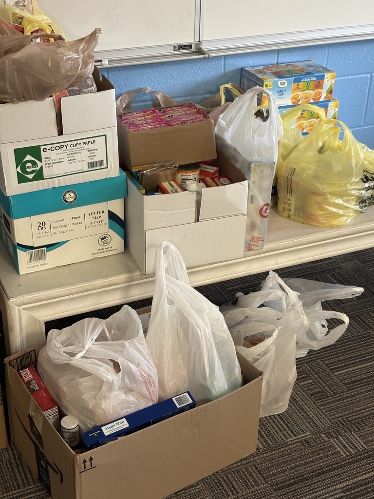 Mrs. Peck's Class 300 items