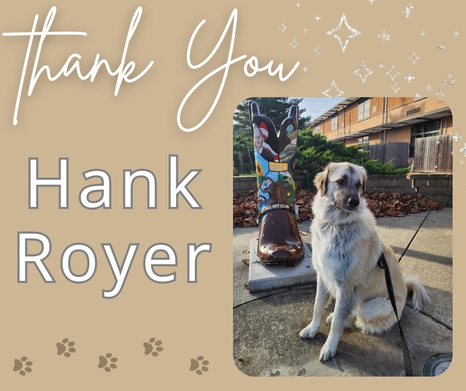 Duchess in front of Cowboy boot