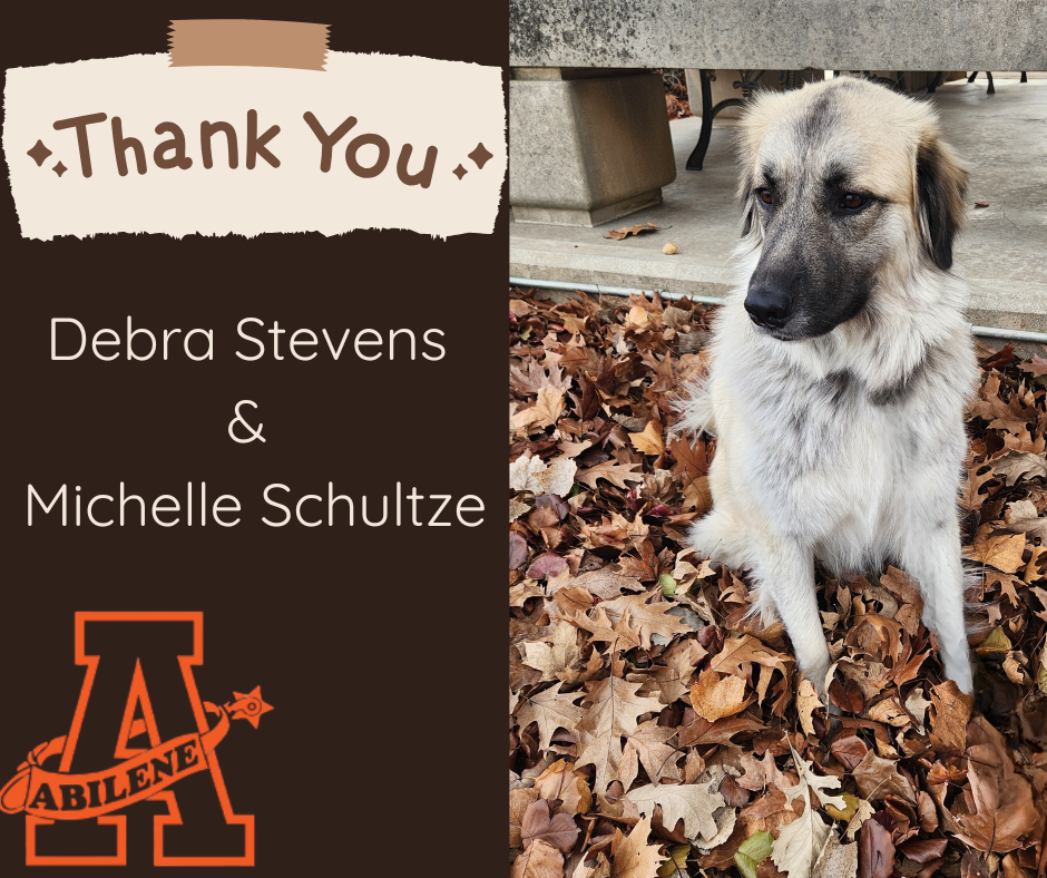 Duchess standing in leaves