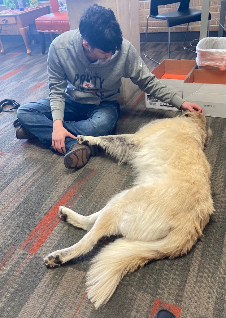 student and dog