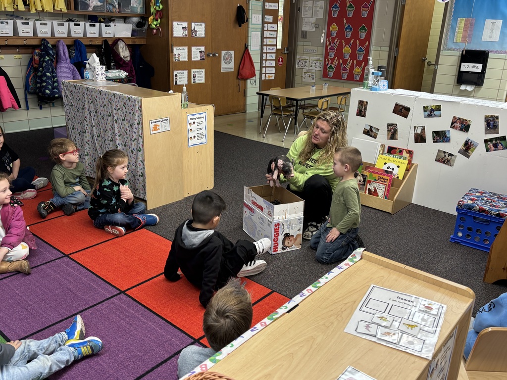 Pig in the classroom