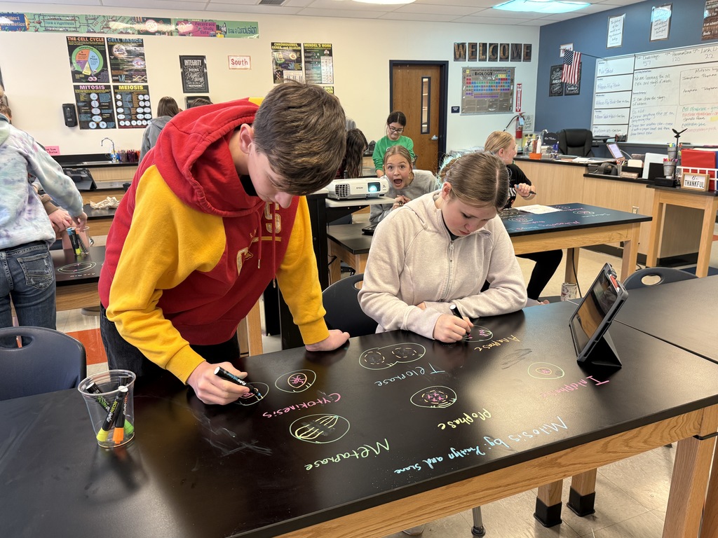 AMS Students draw the stages of mitosis on their tables