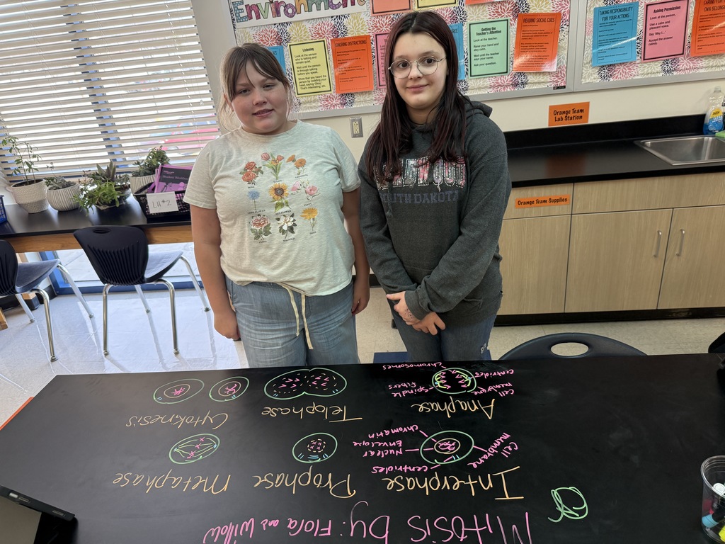 AMS Students draw the stages of mitosis on their tables