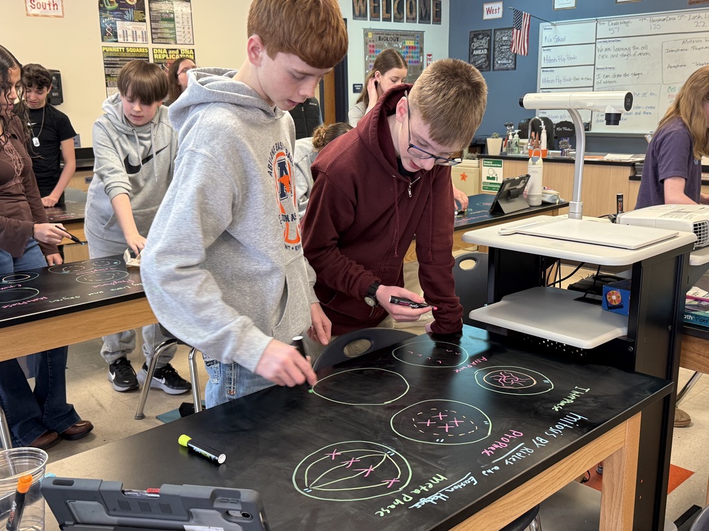 AMS Students draw the stages of mitosis on their tables
