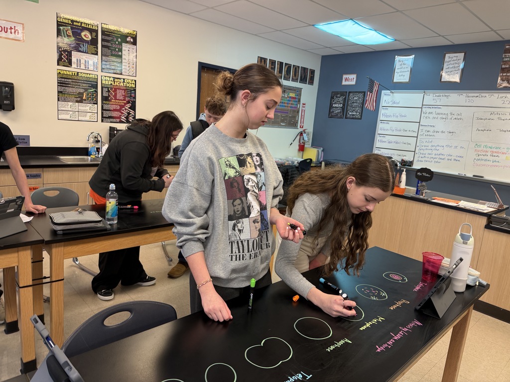 AMS Students draw the stages of mitosis on their tables
