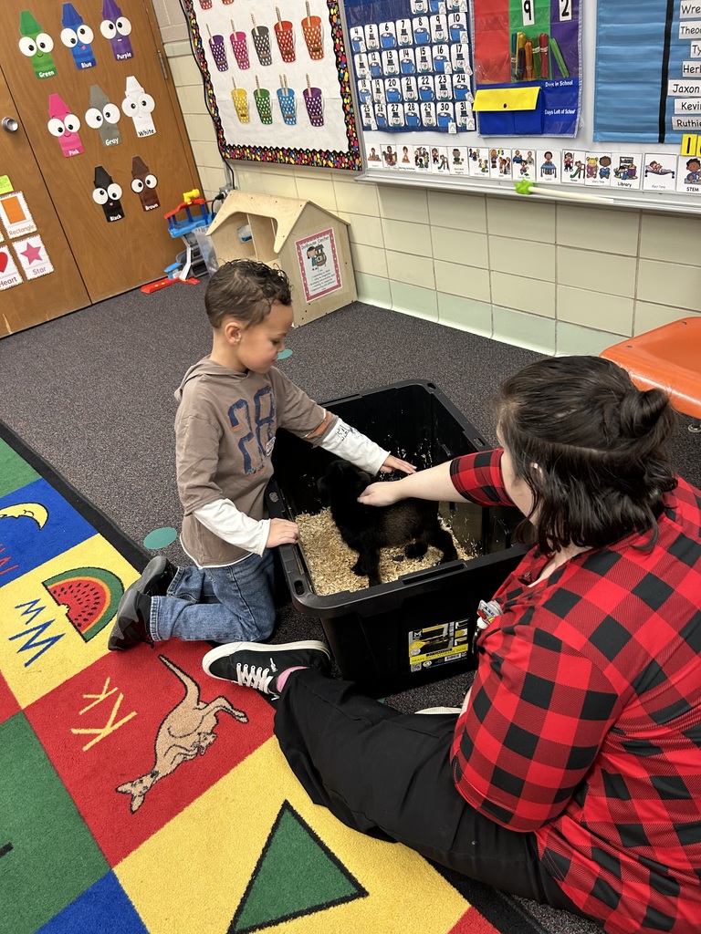 Preschoolers learning about goats.