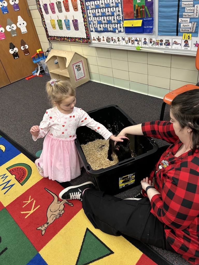 Preschoolers learning about goats.