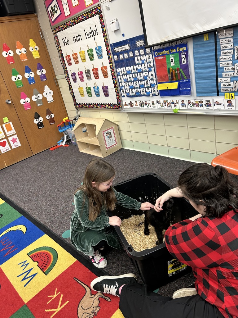 Preschoolers learning about goats.