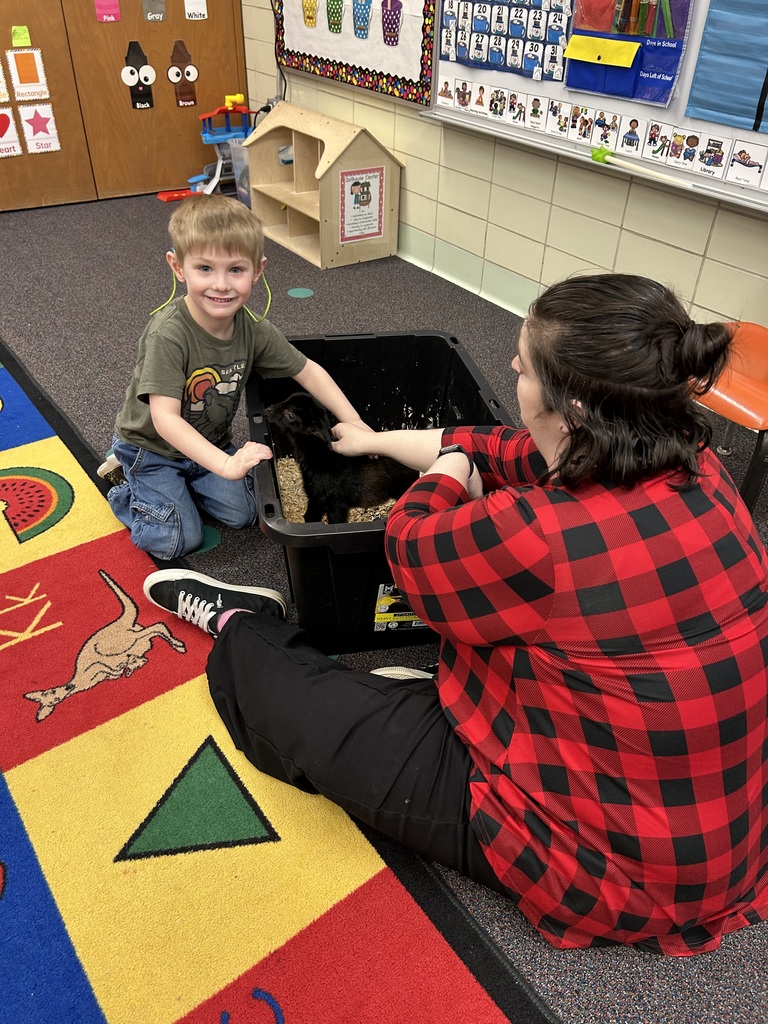 Preschoolers learning about goats.