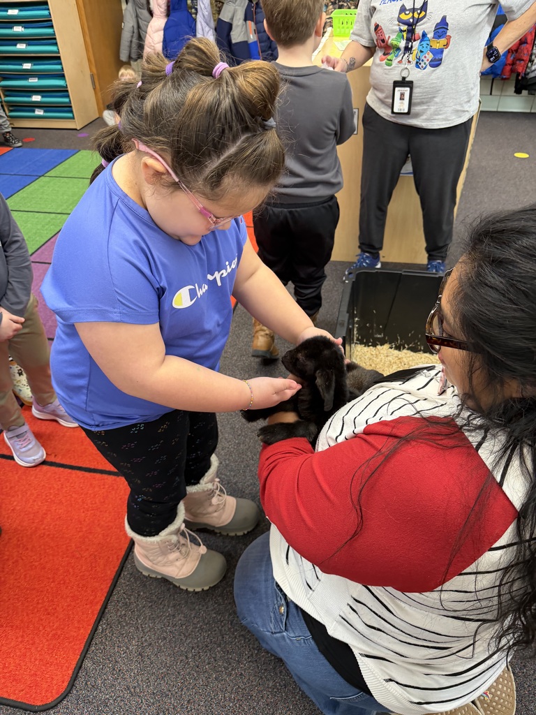 Preschoolers learning about goats.