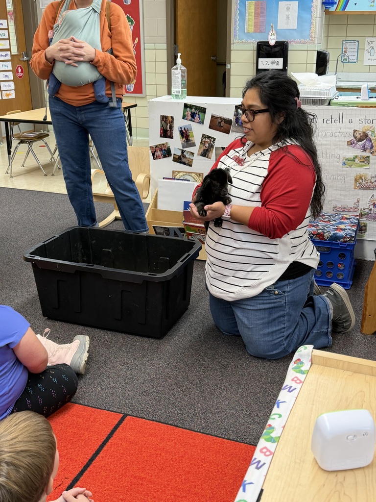 Preschoolers learning about goats.