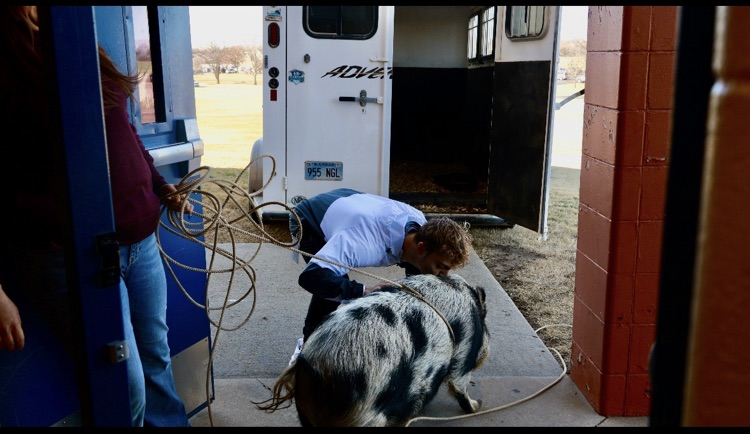Mr. Niles kissing a pig!