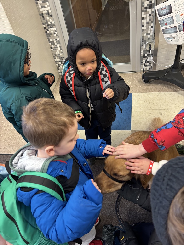 Rhett getting petted by students.