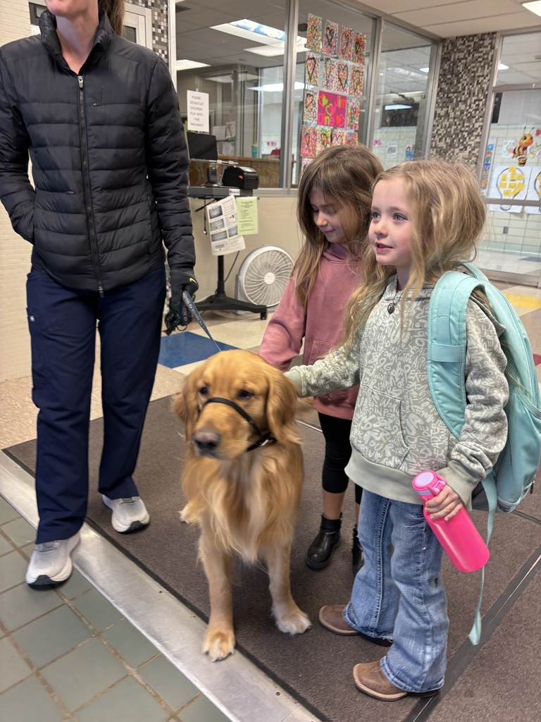 Rhett getting petted by students.
