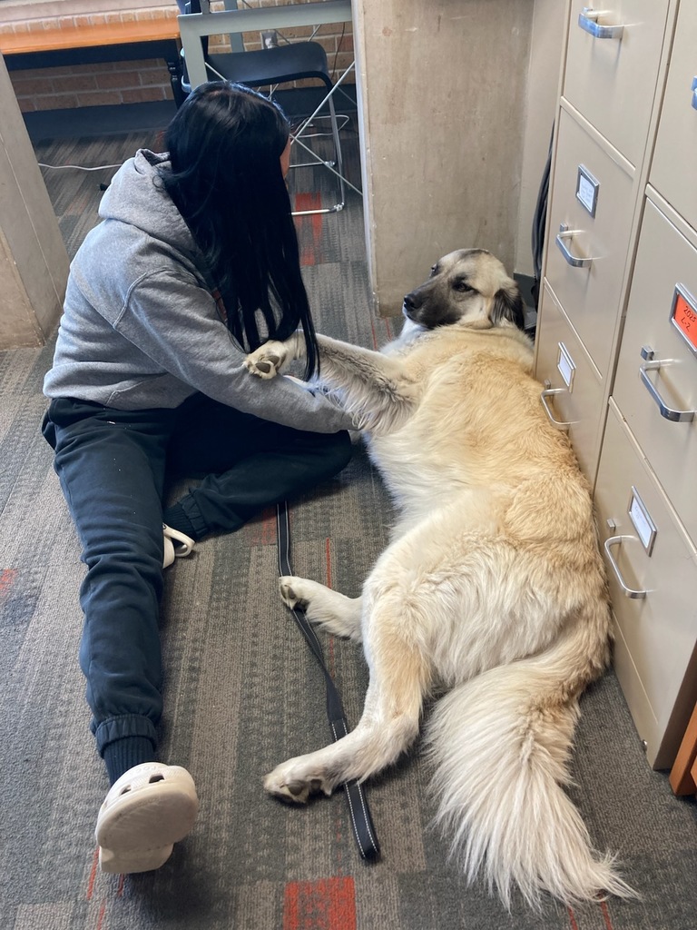 student and dog